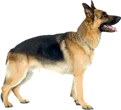 Symbol totalitärer Herrschaft