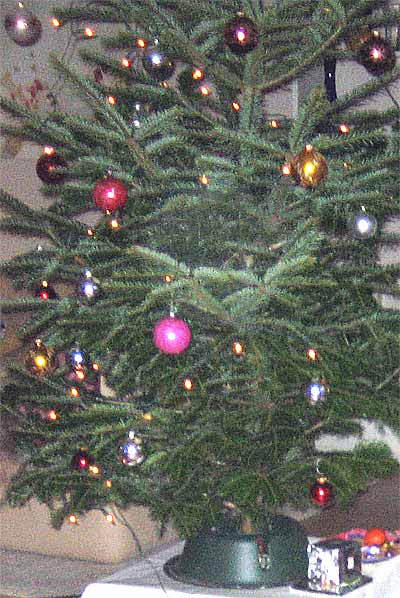 eihnachtsbaum am 24.12.2013